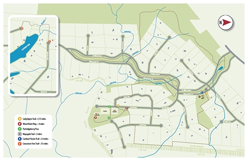 Clifftops Trail Map